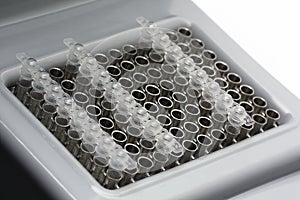 Microtubes in the thermocycler