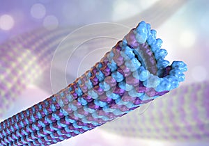 Microtubule, a polymer composed of a protein tubulin