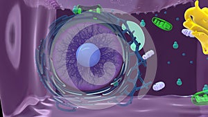 Structure of Microvilli