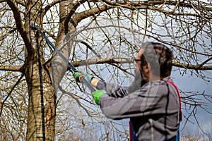 Mid adult caucasian man pruning fruit trees in his garden. Male gardener using pruning shears. Springtime gardening.