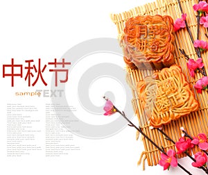 Mid-Autumn Festival moon cake