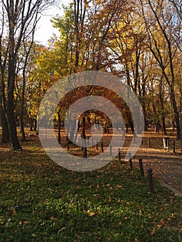 Mid autumn park view, with green to yellow to orange colour palette