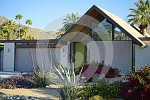 Mid-Century Garden and Home in Palm Springs
