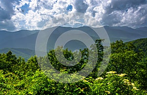 Mid-day view of the Appalachian Mountains from the Blue Ridge Pa