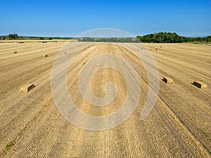 Mid level aspect view over a wheat field with bales of straw ready for collection in the English countryside