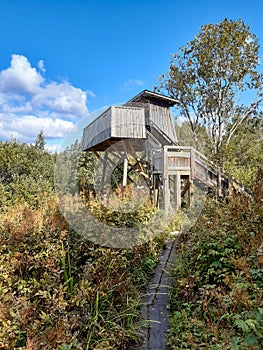 Mid-rise Birdwatching Tower in Finland in Autumn