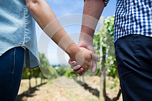 Mid section of couple holding hands at vineyard