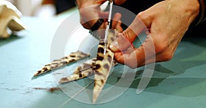 Mid-section of craftswoman cutting leather with scissors