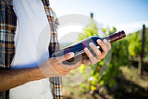 Mid section of man holding wine bottle at vineyard