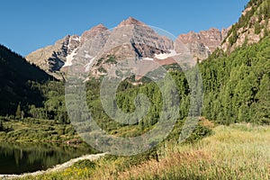 A Mid Summer View of the Maroon Bells with White Daisies Along Maroon Lake.