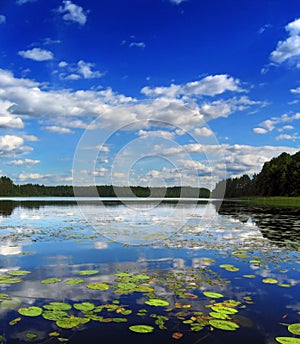 Midday lake photo