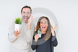 Middle age couple holding plants over isolated background very happy and excited, winner expression celebrating victory screaming