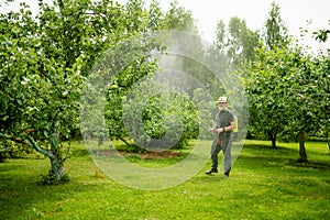 Middle age gardener with a mist fogger sprayer sprays fungicide and pesticide on bushes and trees. Protection of cultivated plants