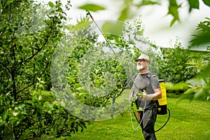 Middle age gardener with a mist fogger sprayer sprays fungicide and pesticide on bushes and trees. Protection of cultivated plants