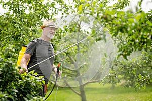 Middle age gardener with a mist fogger sprayer sprays fungicide and pesticide on bushes and trees. Protection of cultivated plants photo
