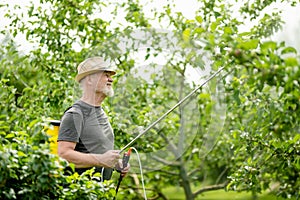 Middle age gardener with a mist fogger sprayer sprays fungicide and pesticide on bushes and trees. Protection of cultivated plants photo
