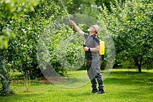 Middle age gardener with a mist fogger sprayer sprays fungicide and pesticide on bushes and trees. Protection of cultivated plants