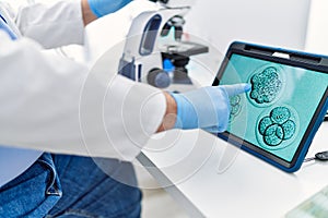 Middle age grey-haired man wearing scientist uniform looking embryology image touchpad at laboratory