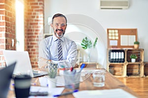 Middle age handsome businessman wearing tie sitting using laptop at the office happy face smiling with crossed arms looking at the