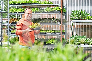 Middle age man gardener buying plants