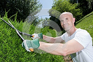 Middle-age man grass cutting in garden