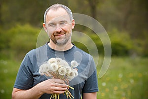 Middle age man holding a bunch of first white dandelions