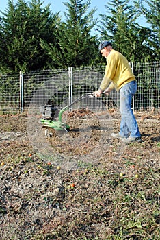 Middle age man with a rototiller photo