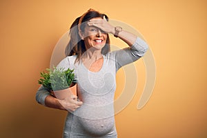 Middle age pregnant woman expecting baby holding plant pot stressed with hand on head, shocked with shame and surprise face, angry