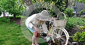 Middle age woman gardening watering in the romantic provence garden