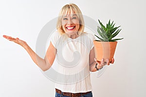 Middle age woman holding cactus pot standing over isolated white background very happy and excited, winner expression celebrating