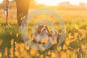 Middle age woman playing with her dog