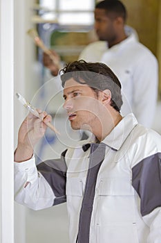 middle-age worker painting wall in room