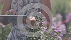 Middle aged asian woman using a tablet while checking the quality of flowers in garden