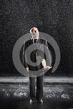 Middle Aged Businessman With Binder In Rain
