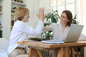 Middle aged businesswoman giving high five to her young female collegue