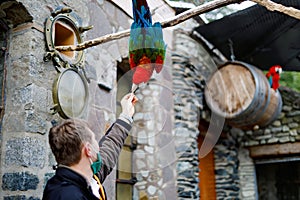 Middle-aged man feeding ara parrots in zoological garden. Man playing and feed trusting friendly birds in zoo and