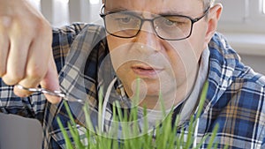 A middle-aged man, with glasses on his eyes, mows the lawn with manicure scissors.