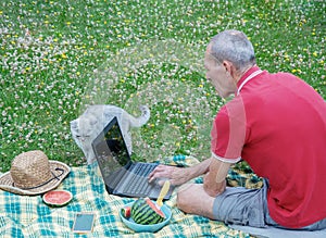 middle aged man with mobile phone and laptop lies on a blanket in green grass