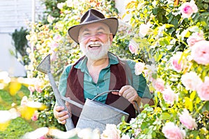 Middle aged man portrait holding watering can on roses garden. Gardening hobby. Spring gardening routine. Happy senior