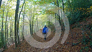 Middle aged photographer walking in the autumn beech forest