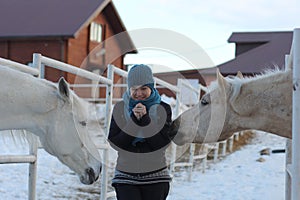 Middle aged woman afraid of white horses in the corral outdoor in winter