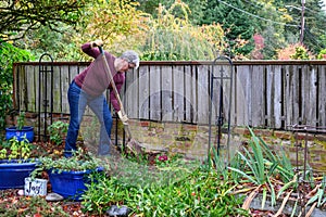 Middle aged woman digging a hole in a front yard garden in preparation for installing a new bush