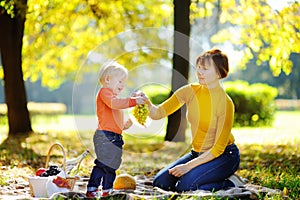 Middle aged woman and her little grandson having a picnic