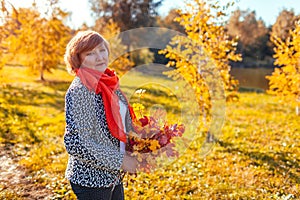 Middle-aged woman holding bouquet of autumn branches with yellow and red leaves. Lady walking in forest