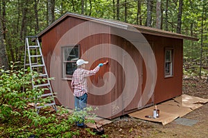 Middle aged woman painting shed