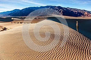 Middle-aged woman photographs desert