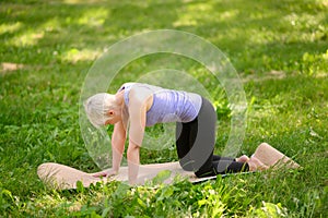 Middle aged woman practicing asana paired with Cow Pose on the inhale exercise,Cat,Marjaryasana pose in nature.