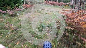 Middle-aged woman riding a mountain bike in the forest