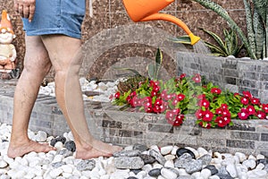 Middle-aged woman watering flowers in garden.