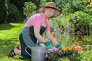 Middle-aged woman working in her garden.